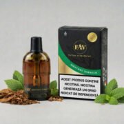 FAV Pod Menthol Tobacco - imagine 2